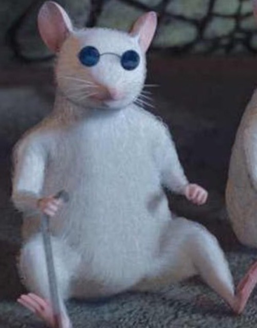 Im Not Saying That Crowley Looks Like One Of The Three Blind Mice With His Rome Look But Thats Exactly