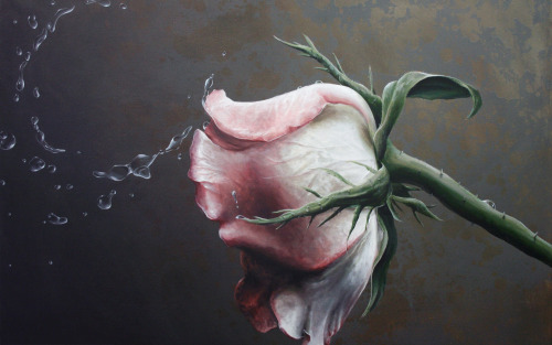 blackpaint20:  The secret rose