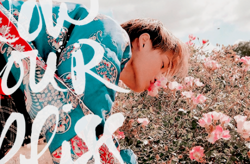 dazzlingkai:What can we do to be happier than we are now?: “Some may not agree, but I think happines