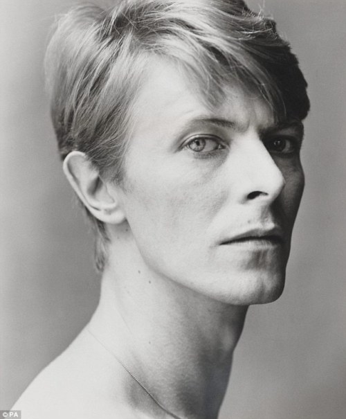 blczar:  tildastardust:  Tilda Swinton by Inez van Lamsweerde & Vinoodh Matadin David Bowie by Lord Snowdon  #I’m glad this exists