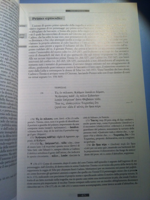 Look what I’m going to study neeext!No really I deeply love the Bacchae, I also saw a performa