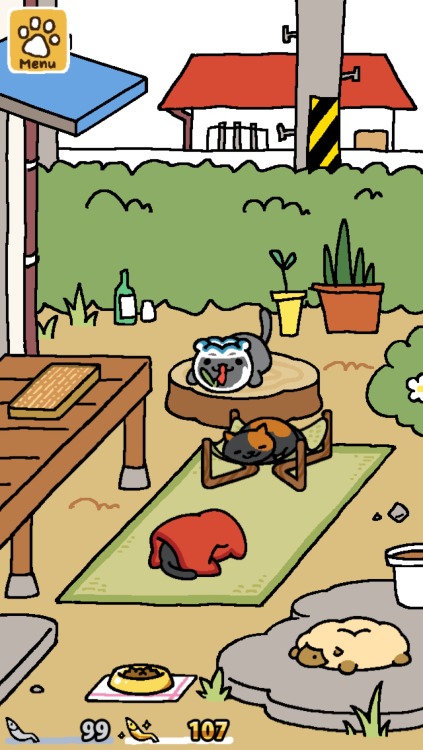 Bought a scratching board