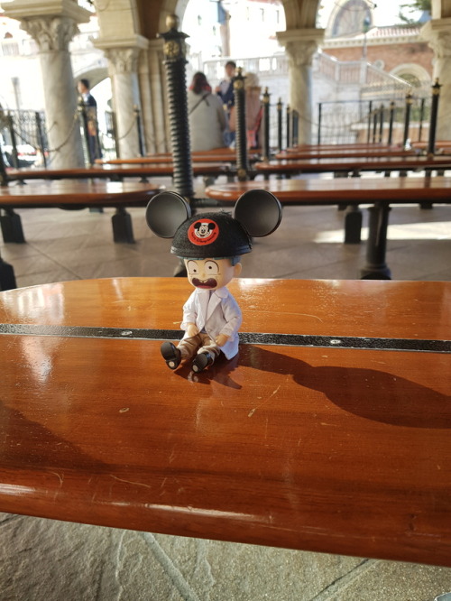 We Go To Disneyland.