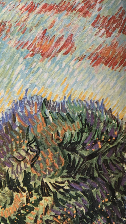 inkstainedleaves:Vincent van Gogh, Olive Grove - Orange Sky (details), 1889