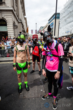puppyprideuk:  Photos from Pride In London