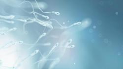 Sperm Cells Are Living Creatures&Amp;Hellip;Every Sperm Produced By Your Testicles