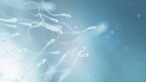 Porn Sperm cells are living creatures…every photos