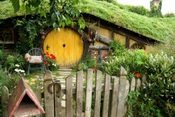 illicitbehaviour:Hobbiton | Matamata, New Zealand.