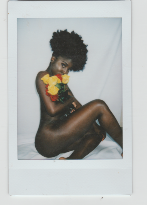 blackbeauty231: