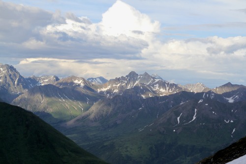 highways-are-liminal-spaces:April Bowl Trail, Hatcher Pass, AlaskaTaken July 2020