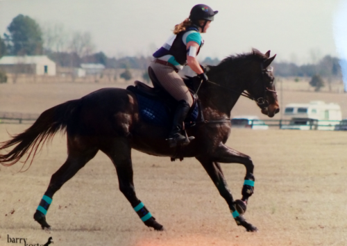 showoffsmom:Nothing better than galloping my Show Off around a maxed XC course.