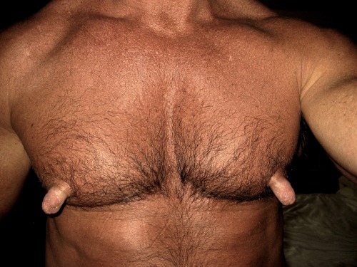 jockstrapbear:  suitedsubmissive:  His nips are about as big as my dicklet!!  He is fucking amazing!  I’d kill to have pumped nips like this…so massive and obscene that I could never hope to hide them underneath my dress shirts.  Tell tale evidence
