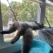 blizzardofjj:Day 6