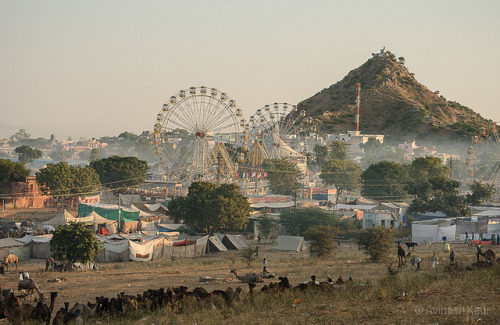 Dawn at Pushkar by ~aKaur~ on Flickr.