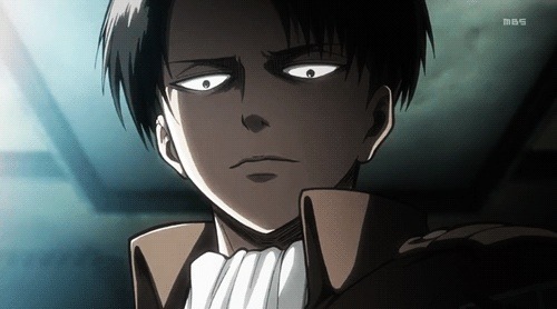 laukitty-yey:  leviiackerman:  l-e-v-i-ackerman:  leviiackerman:  l-e-v-i-ackerman replied to your post:how many animes have you watched? :Dnerdmy waifu could kick ur waifus ass  my waifu is Levi so…. good luck, nerd   um excuse me but  umm….woah!