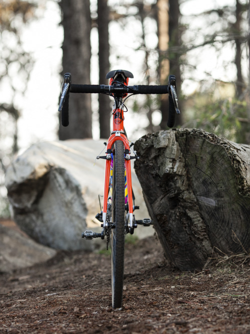 teamdreambicyclingteam:  #MyCielo! More of this coming soon… Photo by Jesse Carmody