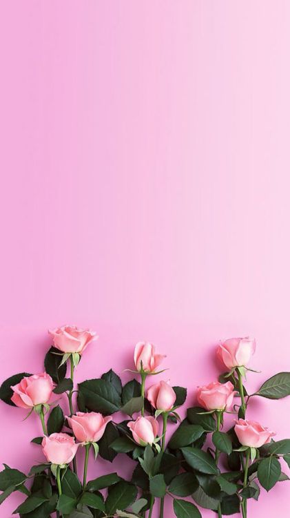 https://le0nin4.tumblr.com/post/159419834446