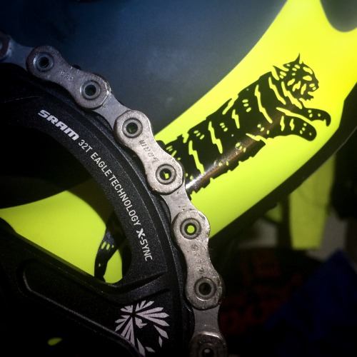 thebikecomesfirst: This chubby bobcat is race-ready #NEWBIKEDAY