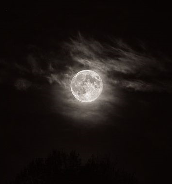 XXX doyoungcity: the moon shines for you … photo