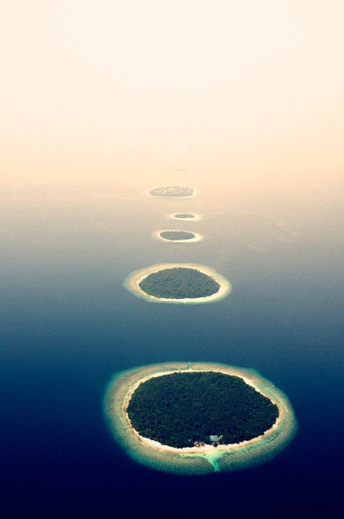 Islands in the mist by Neil Walton: the Maldives.