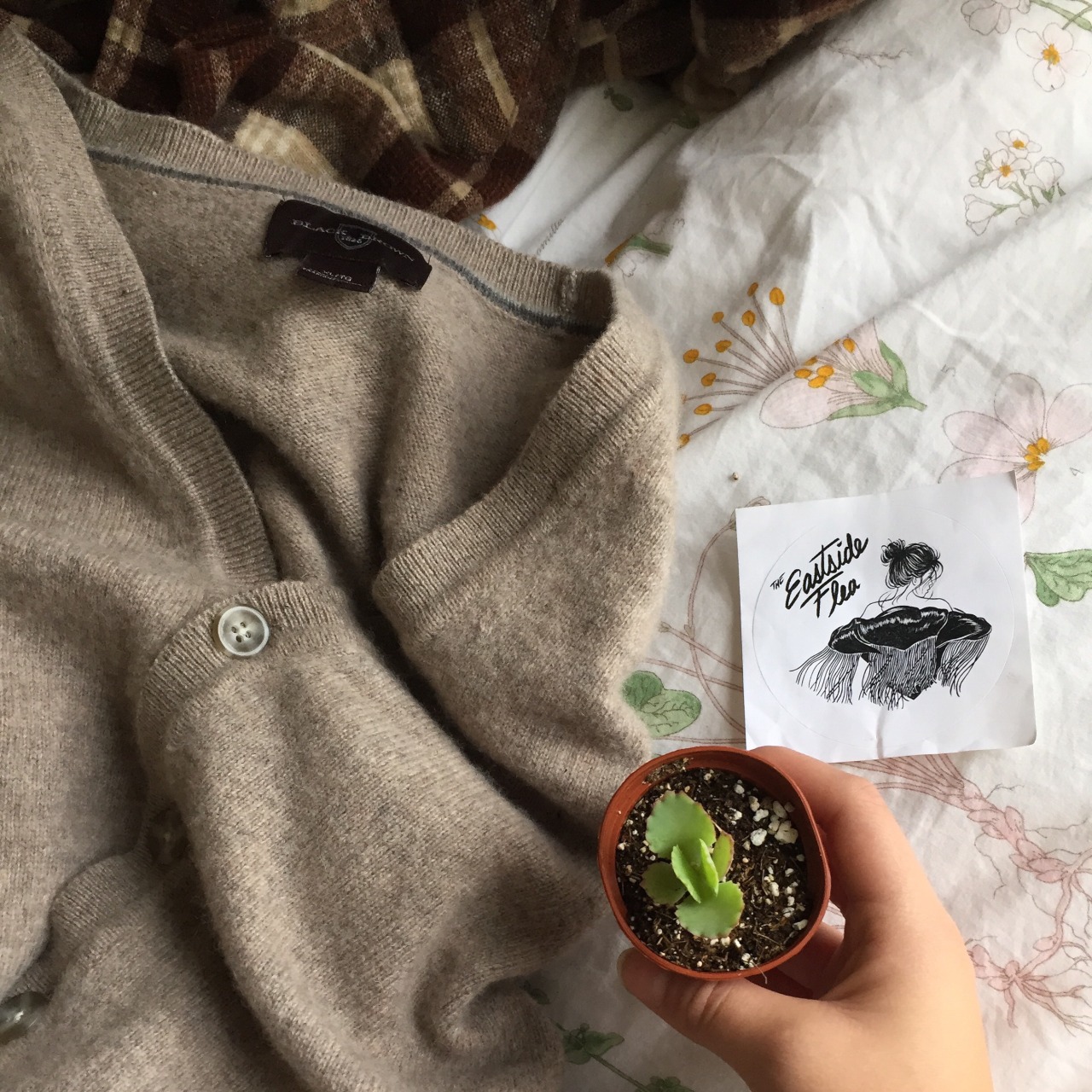 cloudiegirl:  Got a couple things at the market 🌱 ig: cloudiegirl 