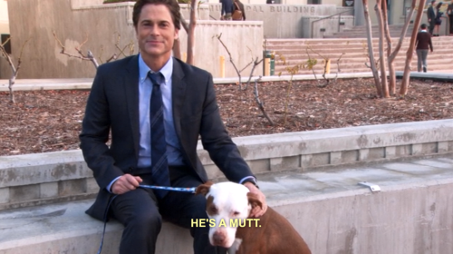 Sex 2o6:  me with every dog ever  pictures