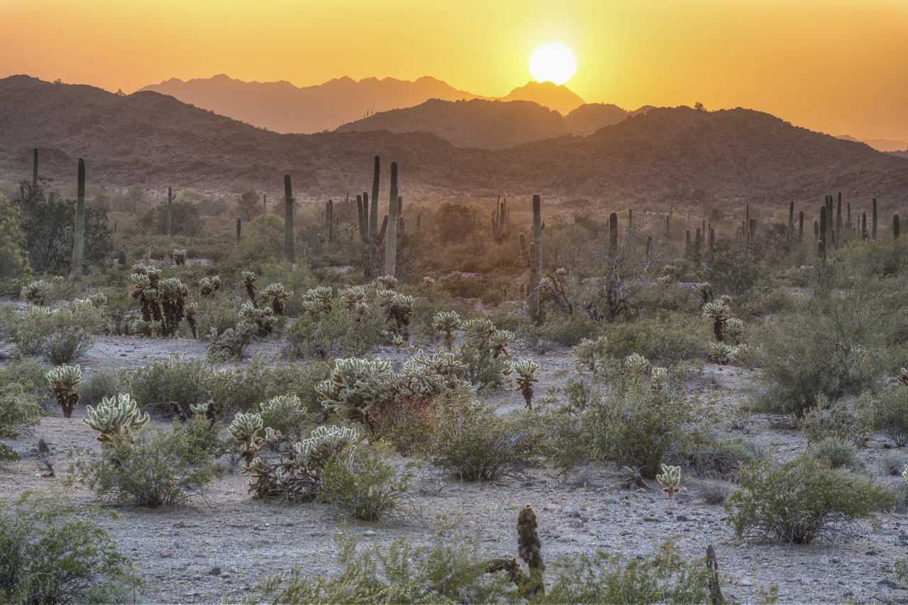 Explore the desert southwest this week with... My Public Lands