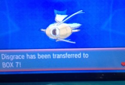 draug419:  greencladprince:  Today I caught my first wild shiney pokemon and its a fucking magikarp. I named her disgrace.   Okay greencladprince, I’m sorry but I’m going to drop some Magikarp love on you right now lolIn Alpha Sapphire I was determined