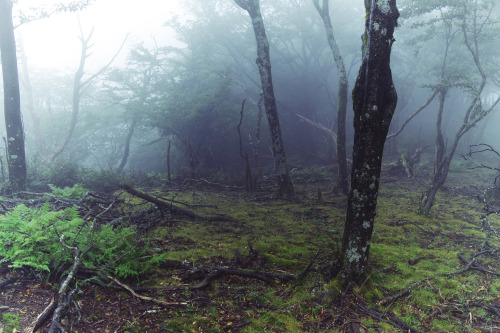 Mt.Oikedake / Mie Prefecture by S F