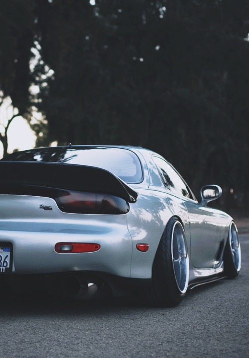 Boobs & booties