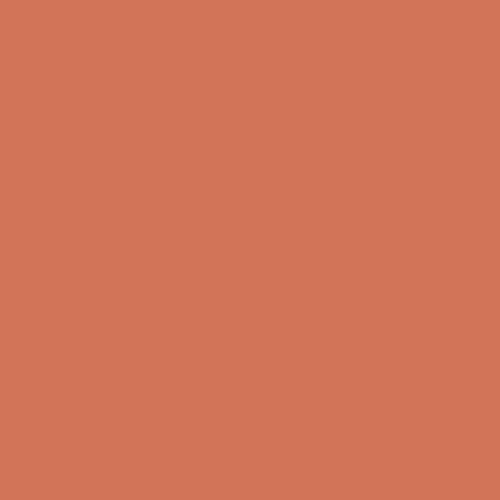 colorfulfades:   colorful fade 16576 - #d17457 and #551731 