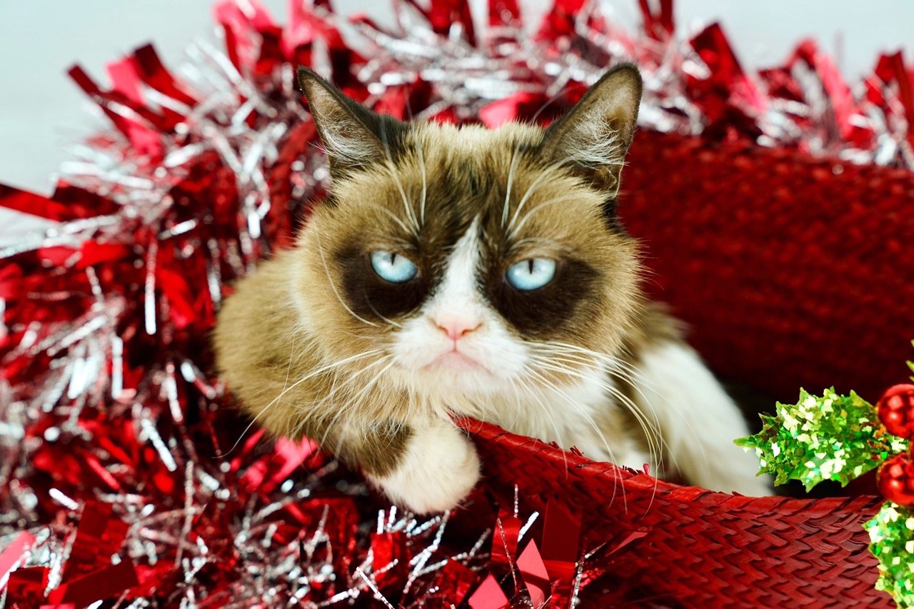 December 1st, 2018