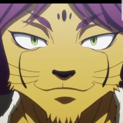 Hxh Random Headcanon Time. Ok, I Couldn't Find Cheetu's Canon Height Anywhere, So Me Being Me, Compared