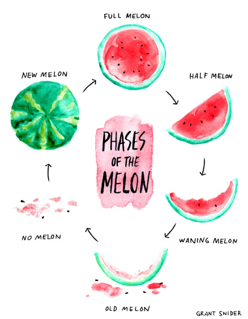 incidentalcomics: Phases of the MelonHappy almost-Summer from Incidental Comics!