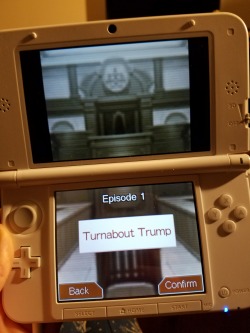 I was pretty excited cuz I&rsquo;ve never played the sequel to my fave Ace Attorney games and it comes in the mail today, boot it up and this fucking happens