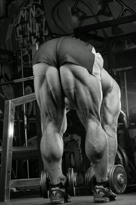 Stevan Haflik