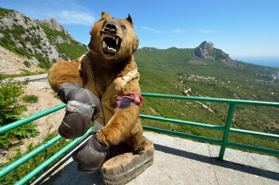 Boxing Bear. Spotted in Laspy, Crimea, Ukraine.
Submitted by Maurka