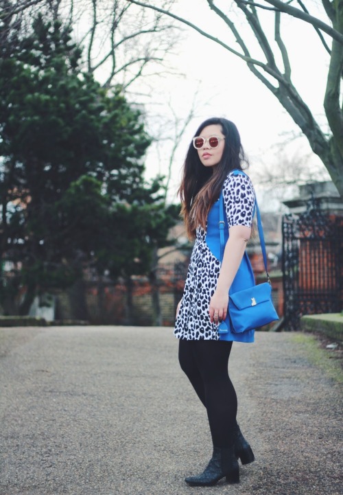 ball-of-wool: Cobalt blue and leopard in a new outfit post on www.adventuresofananglophile.com