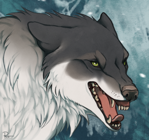 Offering some snarly wolf YCHs on Wolvden because I’m a child….