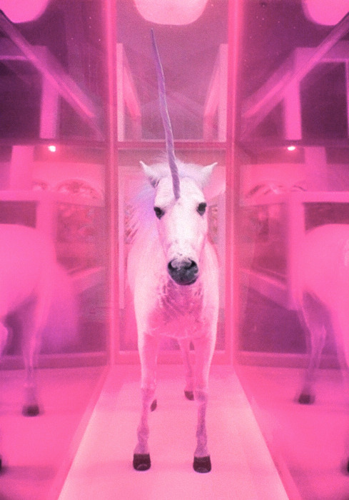 ~*シーサー*~