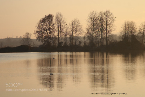 The natural world by umbertomartinenghi