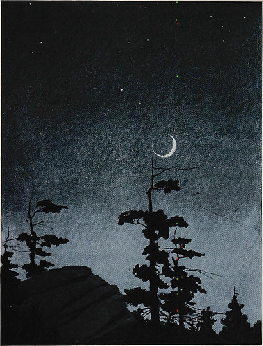 historicalbookimages:page 366 of “In Berkshire fields”(1920)