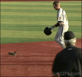 funny-gifs-videos:  Life insurance and car insurance is necessarry Check out bloghttp://funny-gifs-videos.tumblr.com/tagged/insurance