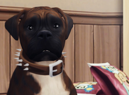 ”Uhhh Mom? Just fyi my food bowl is over here. No, this way!&hellip;.Mom?”