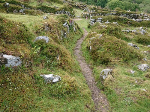 Hundatora Medieval Village (13th century). Dartmoor, Devon, England