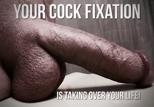 follow-the-cock: Click here & Follow the Cock!