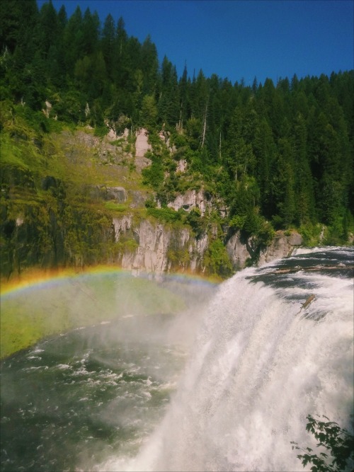 nneilperry:yellowstone national park, idaho