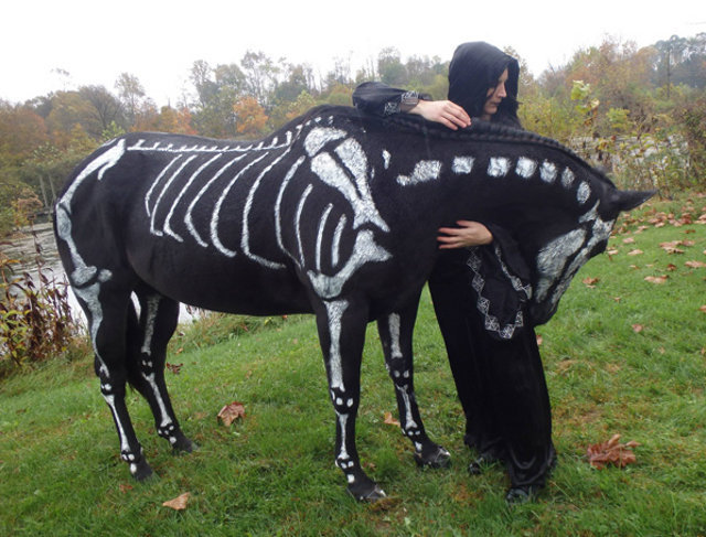 odetojebby:  rainyapparitions:  go home this wins Halloween  horses joining the clique 