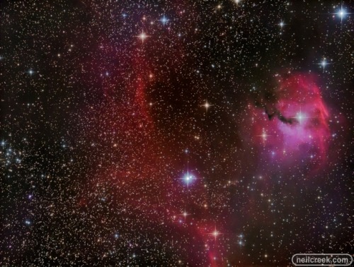 Seagull Nebula - This portrait of the cosmic bird covers a 1.6 degree wide swath across the plane of