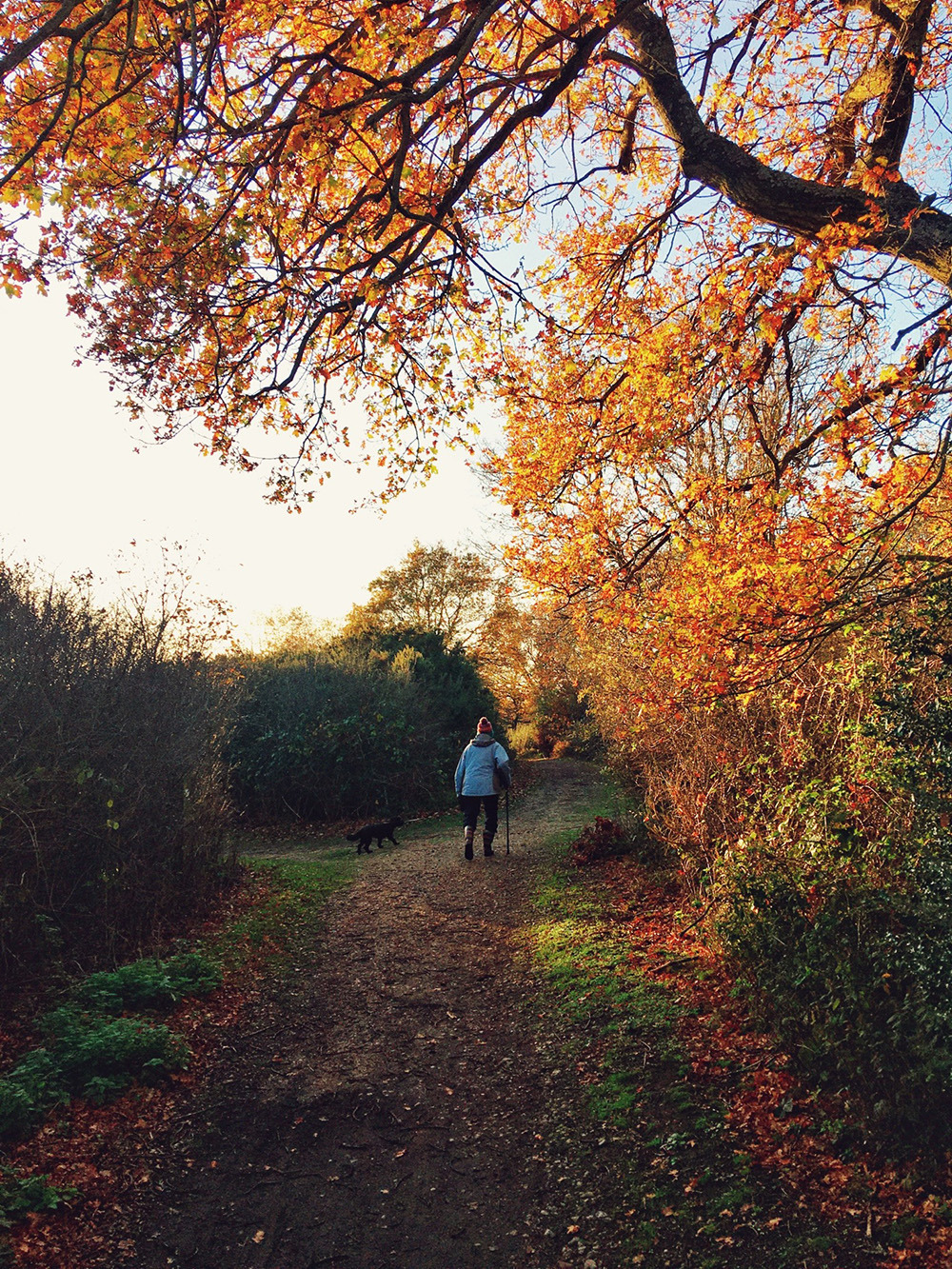 Autumn’s last whisper.